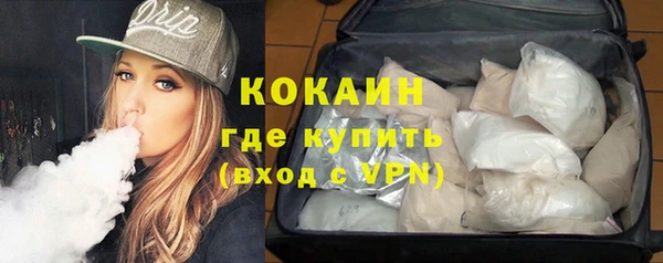 молекула духа Алексин