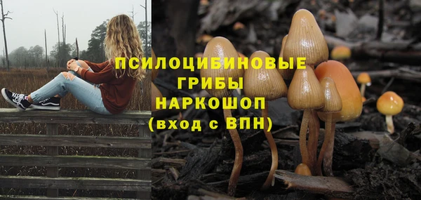 молекула духа Алексин