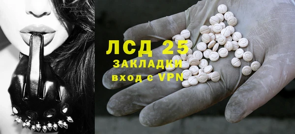 стафф Алзамай